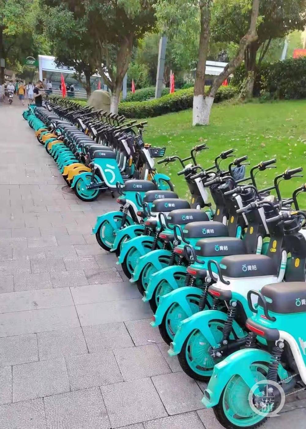 共享单车停车位置 4ff931e5ae474eb790114bd7da64cf7e.jpeg