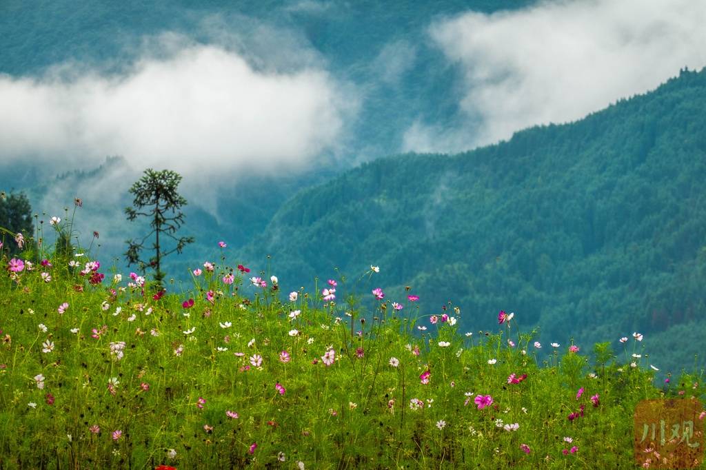 芳草萋萋 云卷云舒 夏末初秋的雅女湖依然美丽