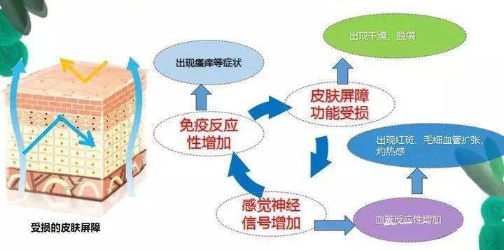 护卫兵|猛药不耐受？修护受损屏障自救指南有了！