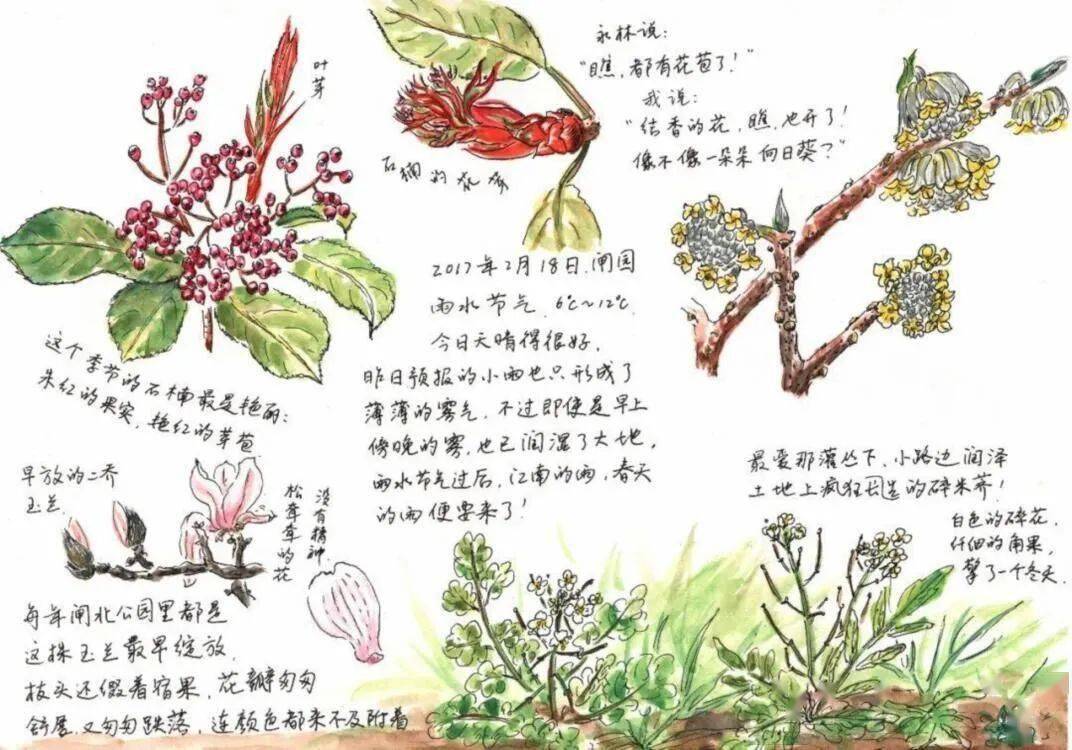 这么高规格的自然笔记大赛你怎能缺席