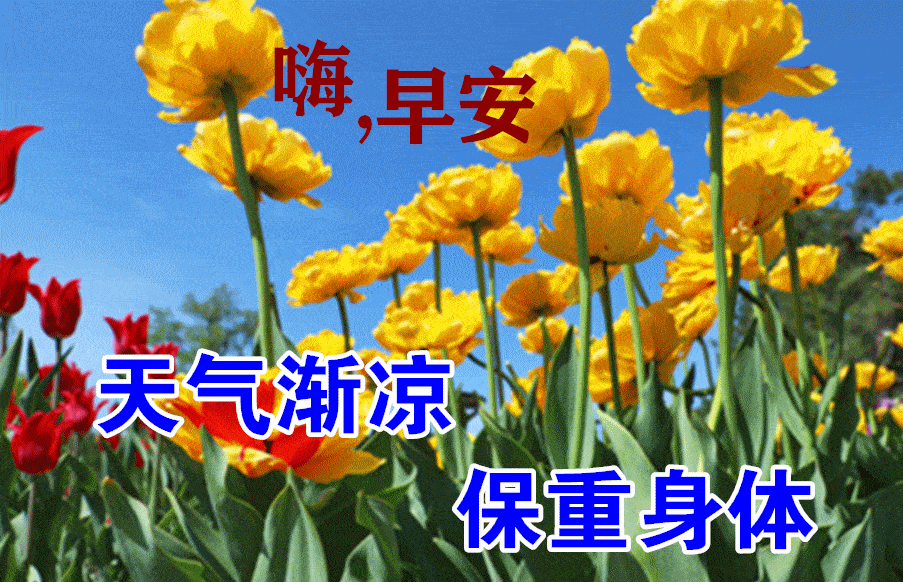 8月19日秋天早上好动态表情图片大全早晨好动图美图大全