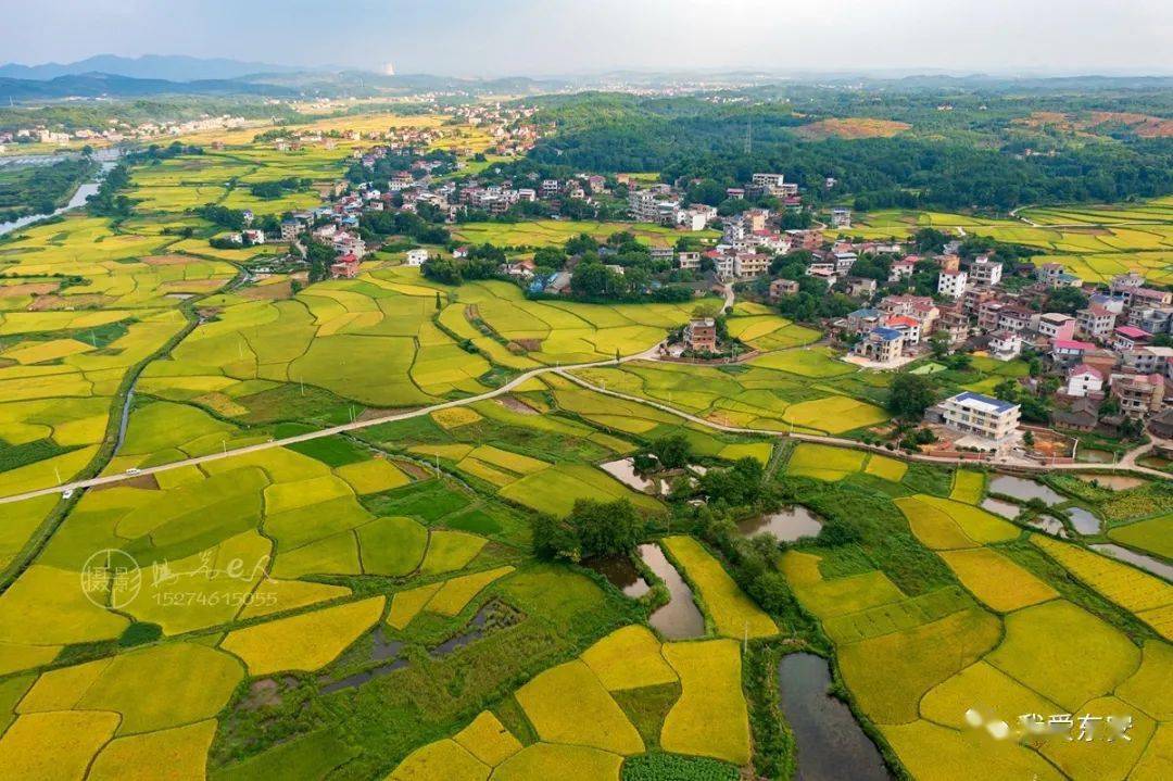 东安县鹿马桥镇金江村田园秋色