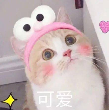 海报|王昭君七夕皮肤口碑两极分化？为什么网友看了都说俗？