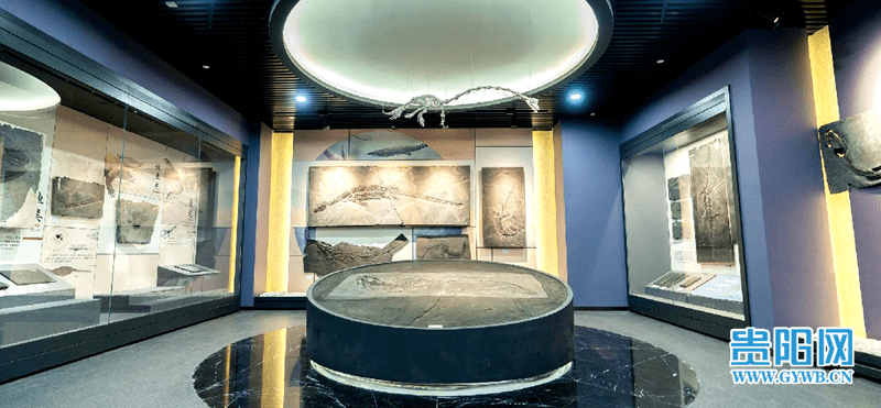 贵州省地质博物馆“一票难求”，官方回应来了