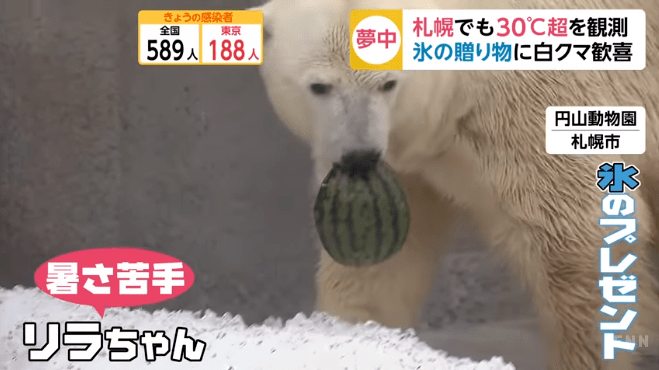 可可爱爱的动物种类 559a93f19a17421493064a786698e536.png