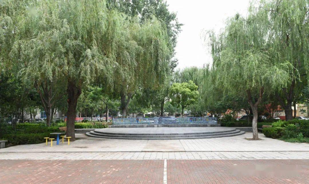 打造社区健康广场增进居民健康指数省慢性病综合防控示范区建设进行时