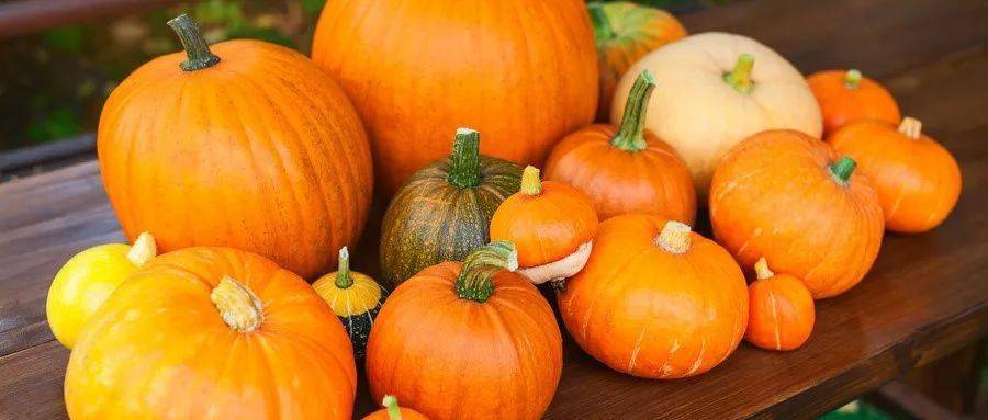 微波炉怎么煮番茄 9073c262eda04edfa511df96a2c630c1.jpeg