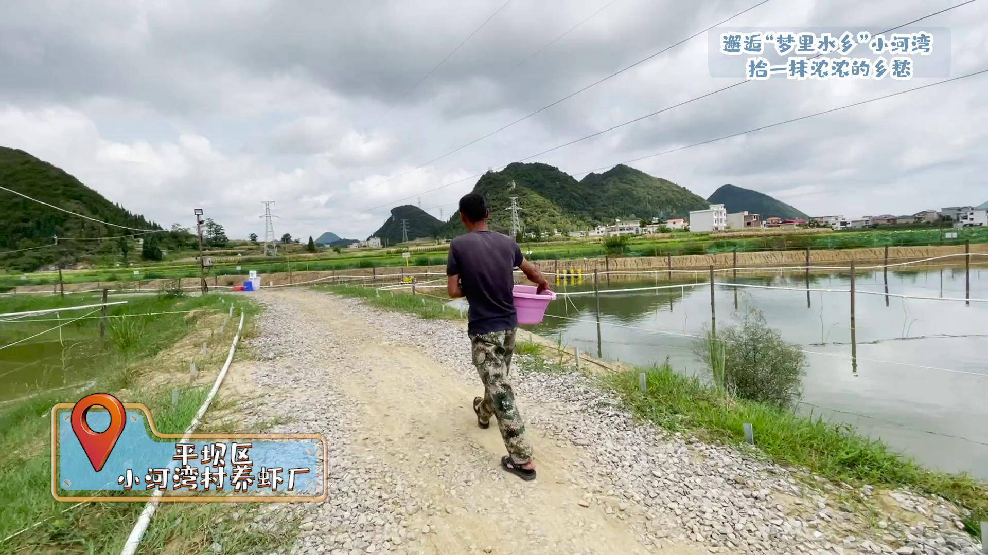 田園夢想家打卡小河灣大山裡養海蝦現代農夫不一般