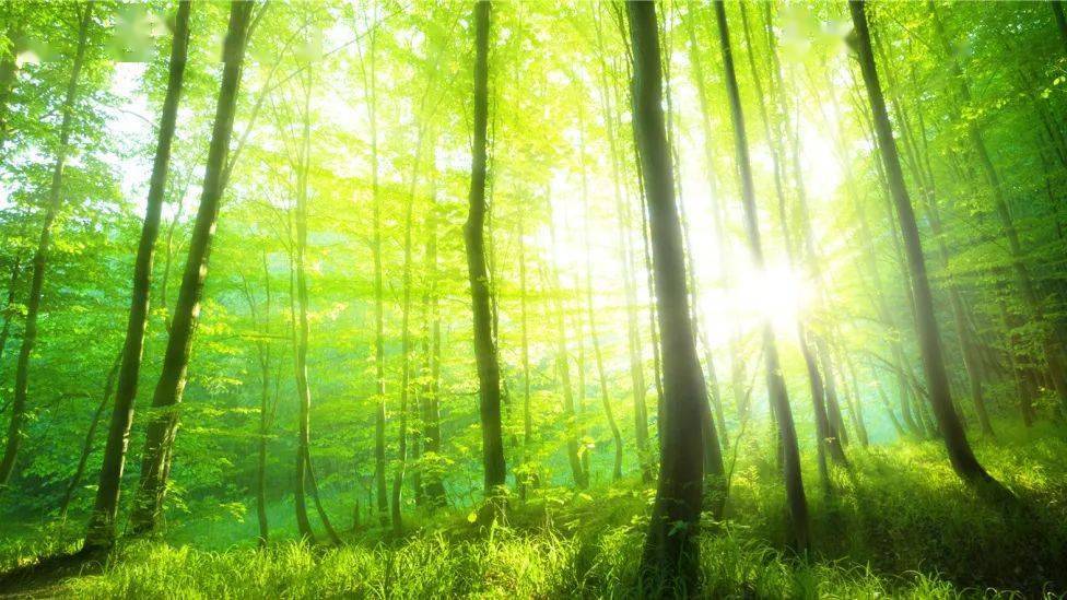 血管|保护好血透生命线，你需要了解的动静脉内瘘知识