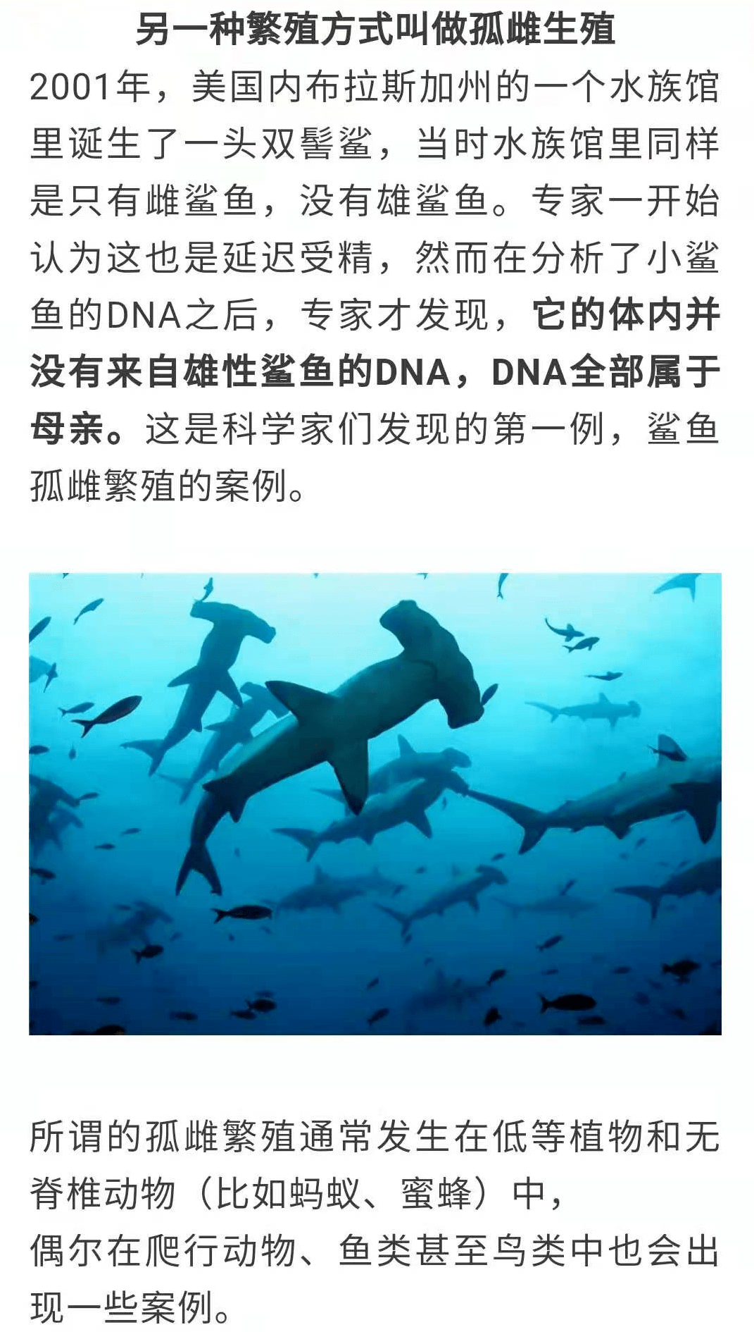 鲨鱼鲨鱼简谱_鲨鱼宝宝简谱(3)