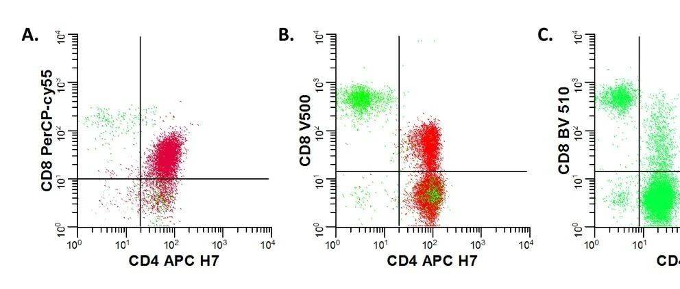 看到蛮多CD4/CD8双阳性T细胞，该诊断什么？_表型