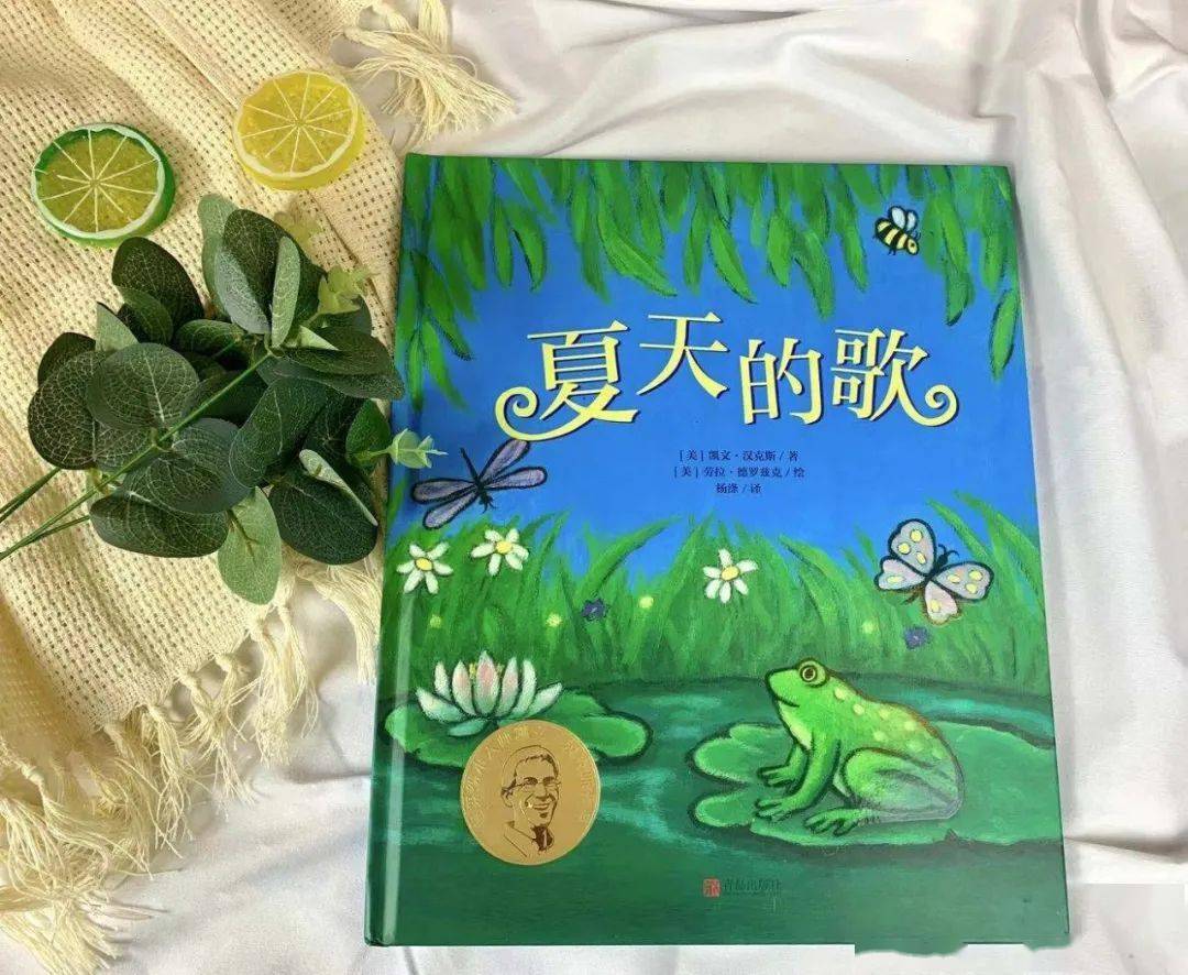 新书夏天的歌生命的歌