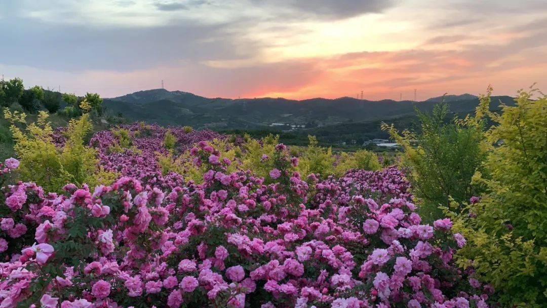 营口芙蓉山风景区图片图片