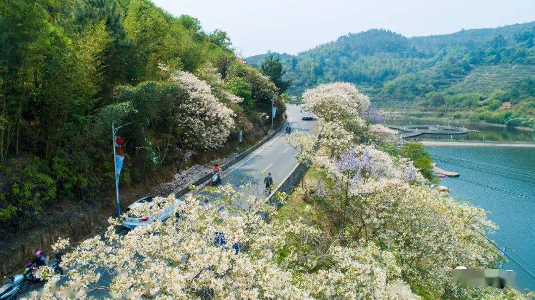 一听就醉了!永春一驻村书记自编自唱的仙夹版《成都》火了