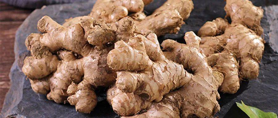 【中药小课堂】生姜