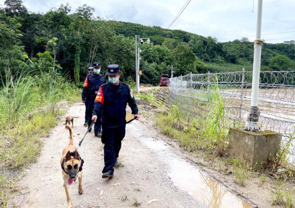 坚守|云南临沧：一条犬、一队人，守护着一段祖国边境