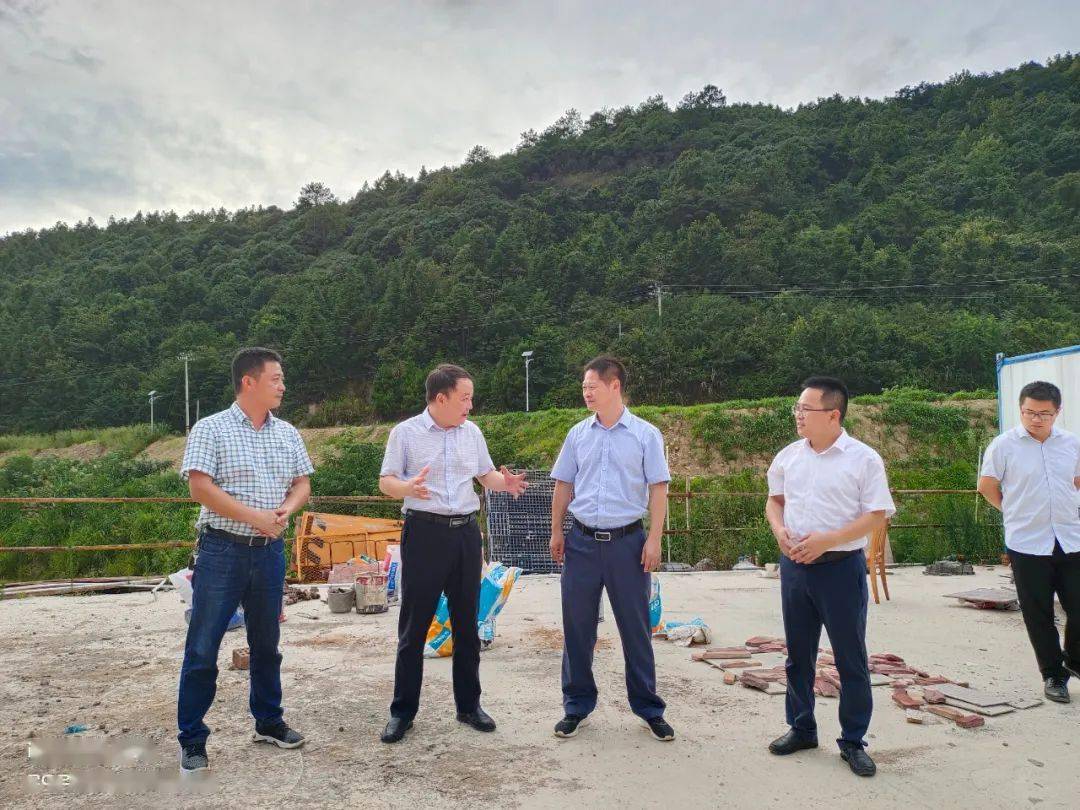 蓝晓植等县领导来我乡调研工作