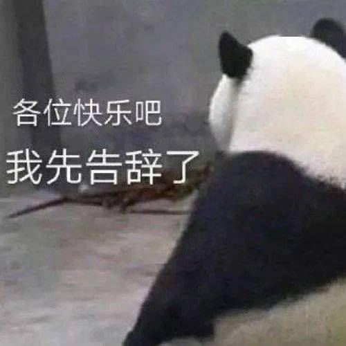 785c29d234414478871c1f13f40e8fce.jpeg
