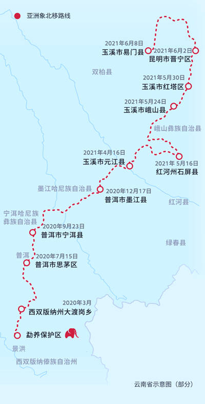 设计|在沉浸式体验新闻中，与“短鼻家族”一起旅行