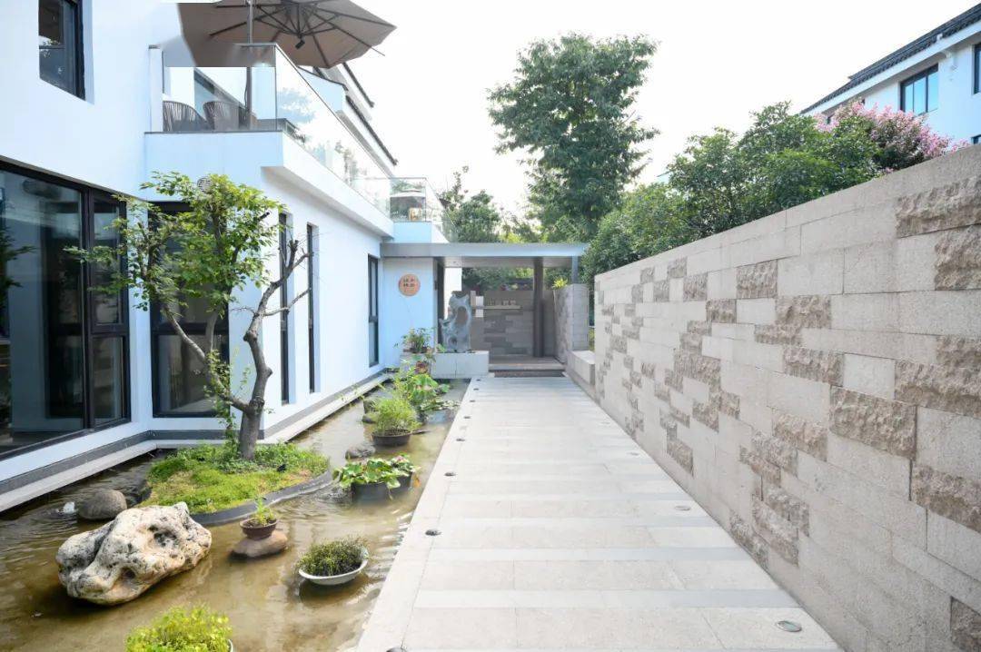 专访新梅华集团江南雅厨郭会斌传统技艺为笔新鲜食材为墨描摹经典苏菜