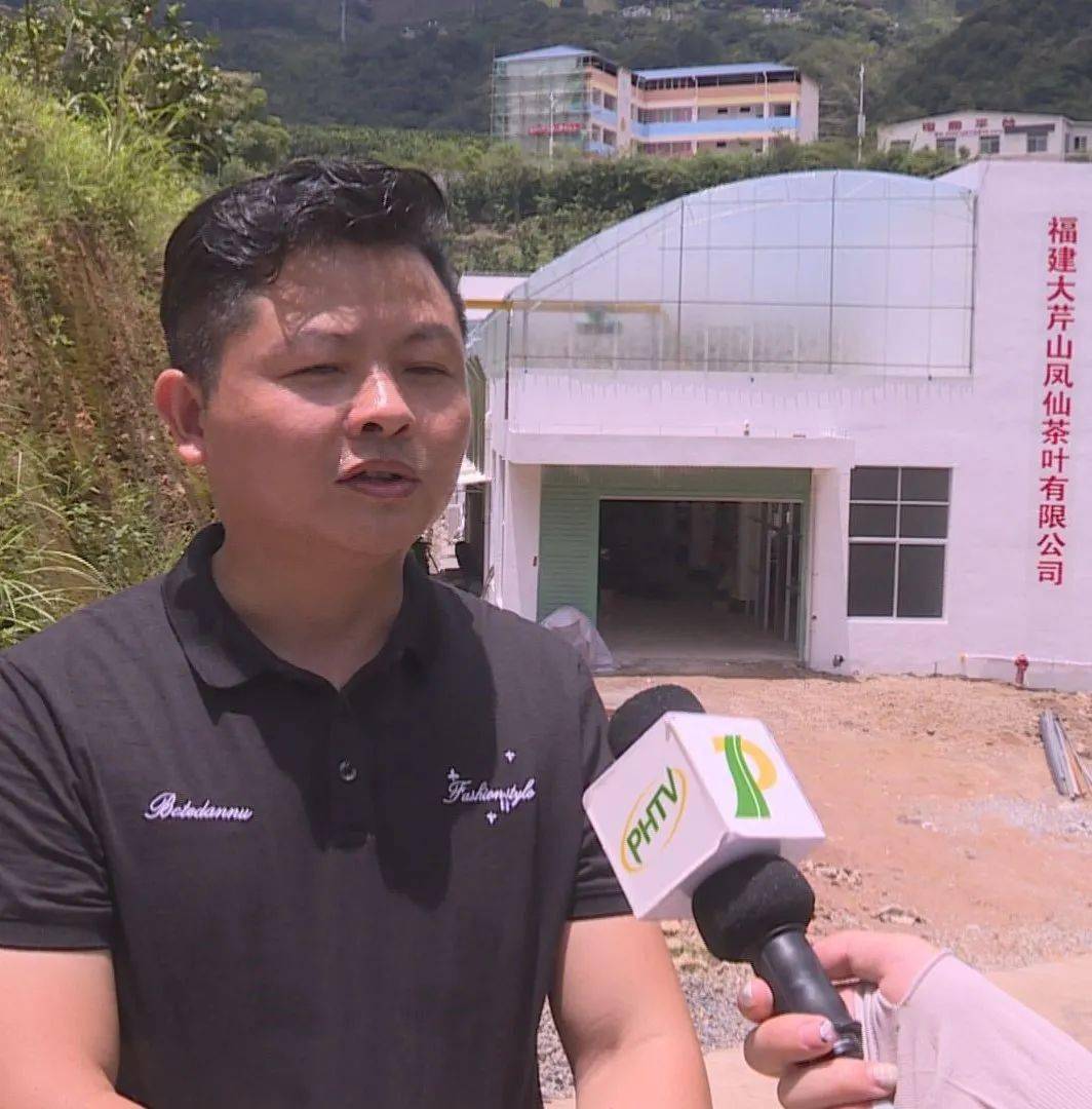 【乡村振兴】新建村:小乡村建起大茶厂 打造乡村振兴支柱产业_赖文达