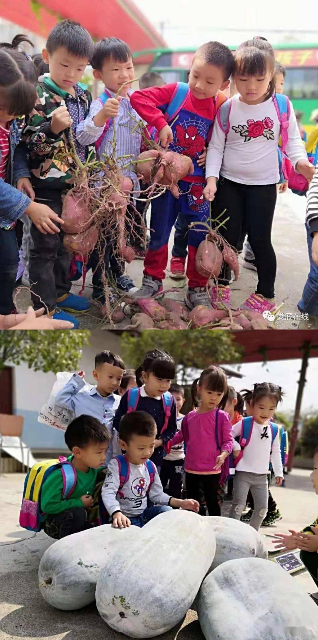 内景|【清华宝贝】新生入园不焦虑，家园合作促适应！