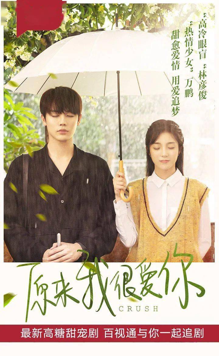 电视剧原来我很爱你林彦俊万鹏用爱追梦