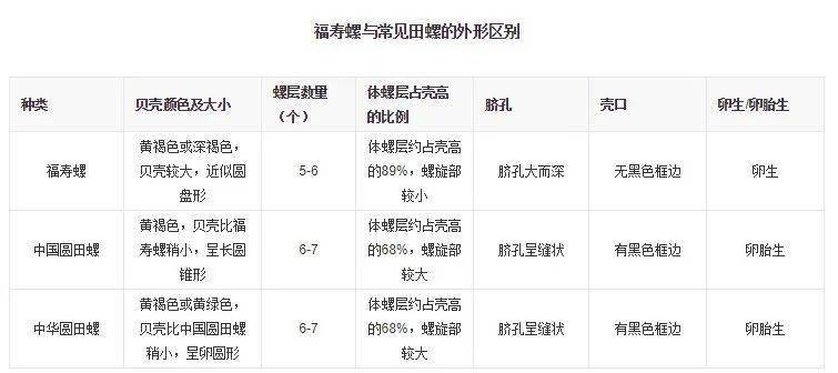 宁波江边发现这种螺千万别吃严重可致命