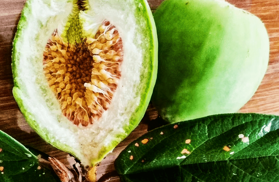 做凉粉的果子切开后,先用勺子将里面的果实全部掏出来,放在太阳下晒干