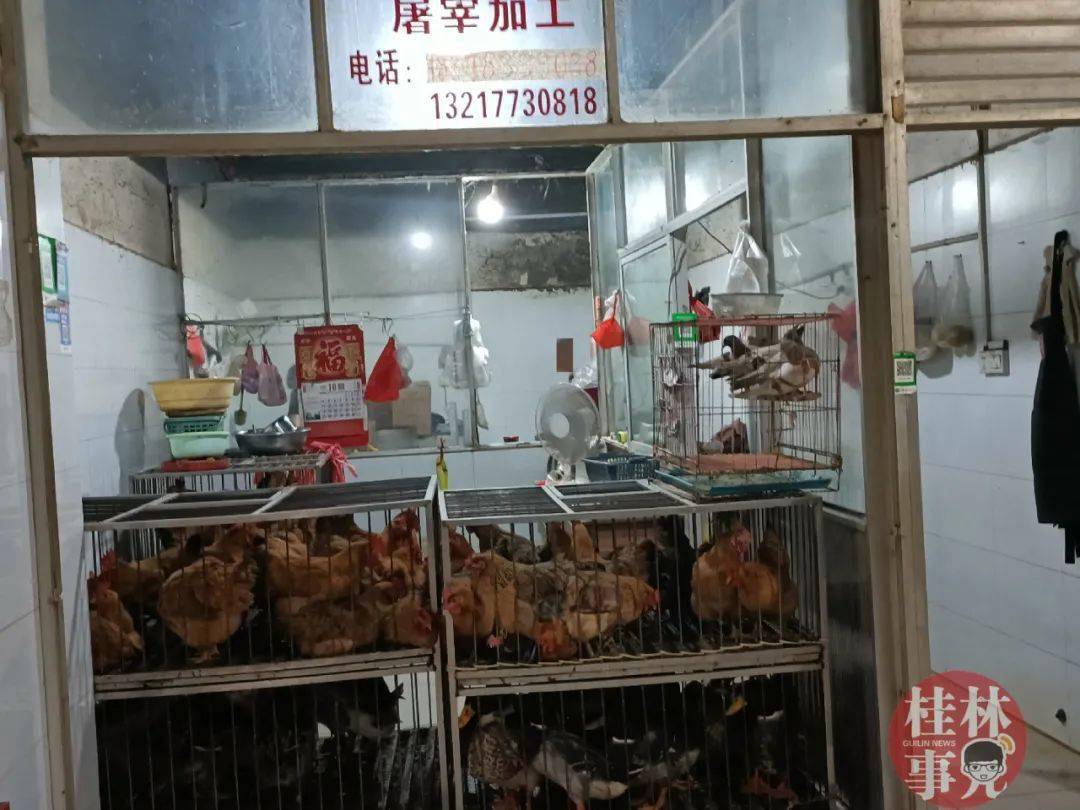 本地丨注意桂林这些菜市场将逐步取消活禽交易宰杀