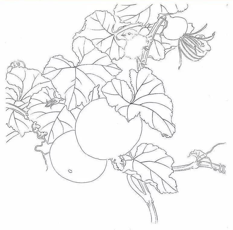 工笔画瓜趣步骤详解一看一学就会