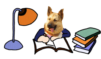 书橱|开学季，家长应该怎样帮助幼升小的孩子做好准备？