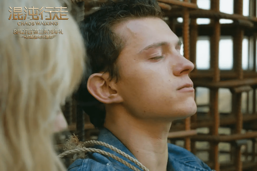 托德·赫维特|由内而外！这片把荷兰弟“扒了精光”！