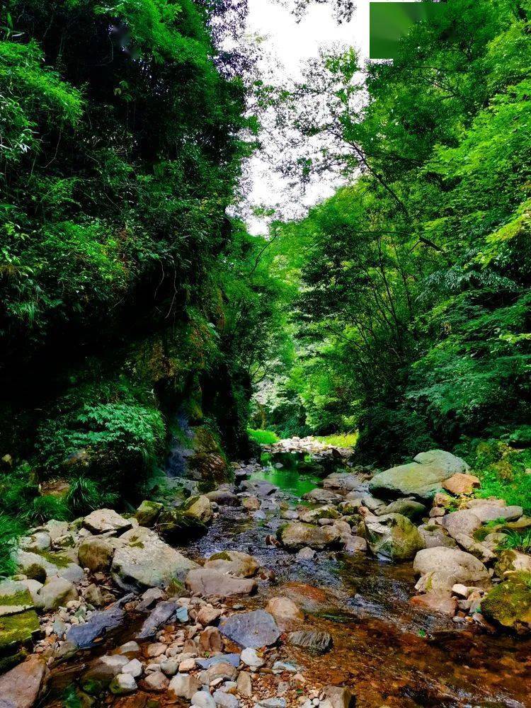 沅陵乡村小溪之恋马底驿乡奔溪