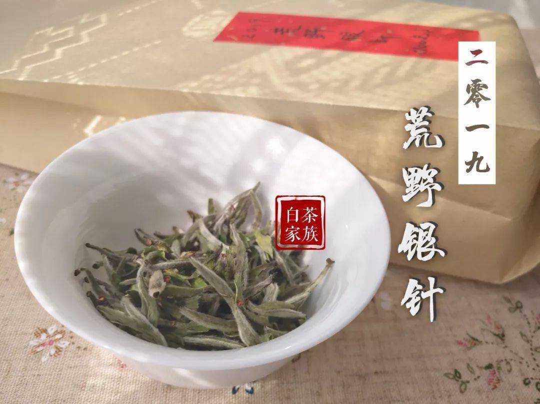 荒野白茶那么贵,到底有什么特别之处,吸引众多茶友前仆后继?_圈养