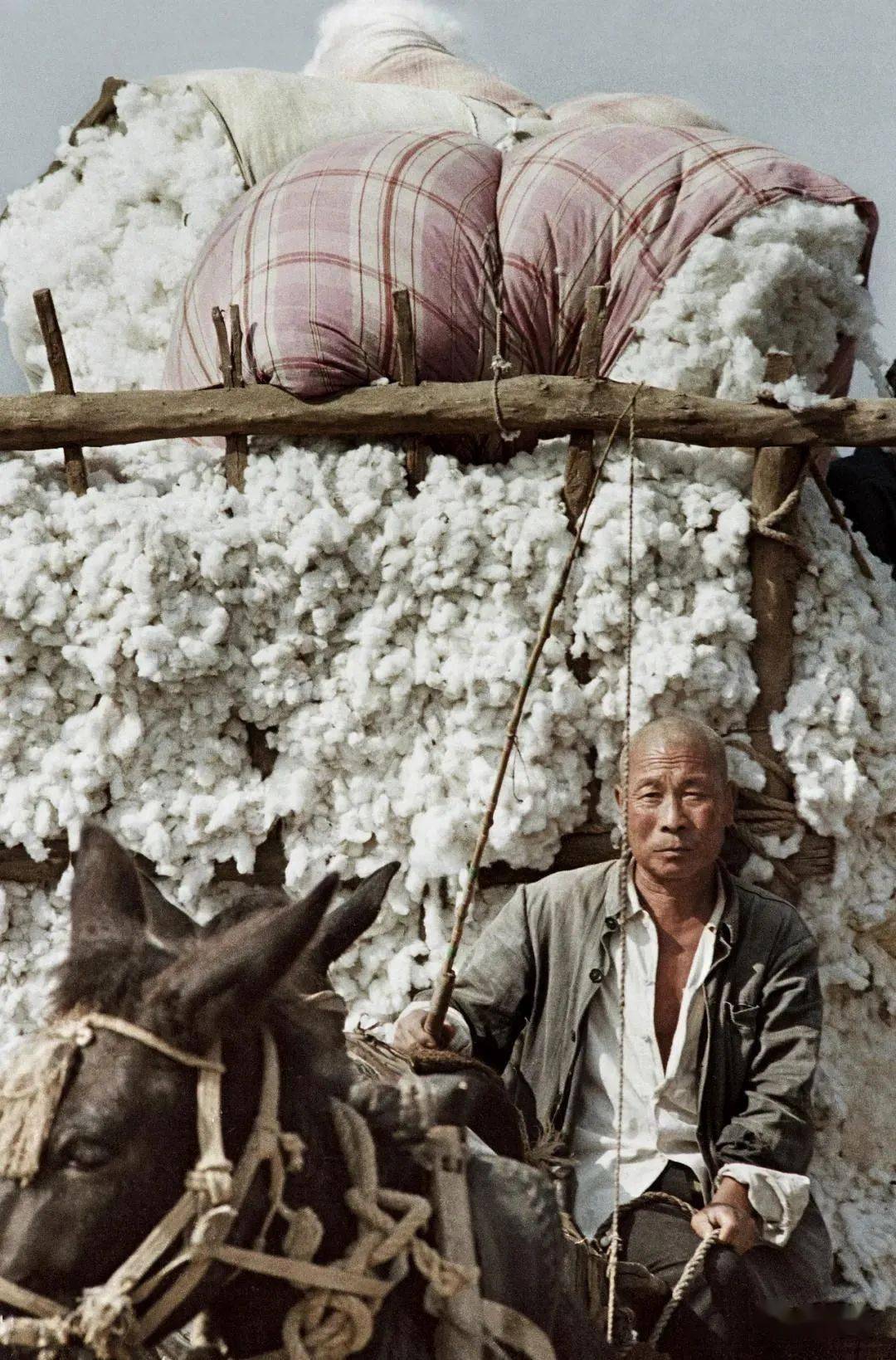 朱宪民 摄影作品分享_河南