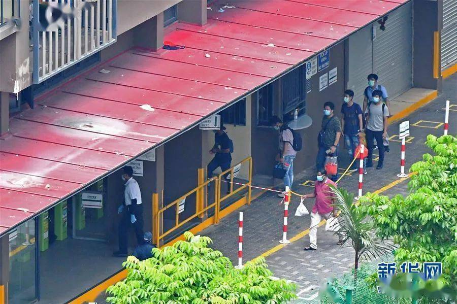 疫情|新加坡要挑战“与病毒共处”，疫情趋稳后又暴发！开放计划或受影响