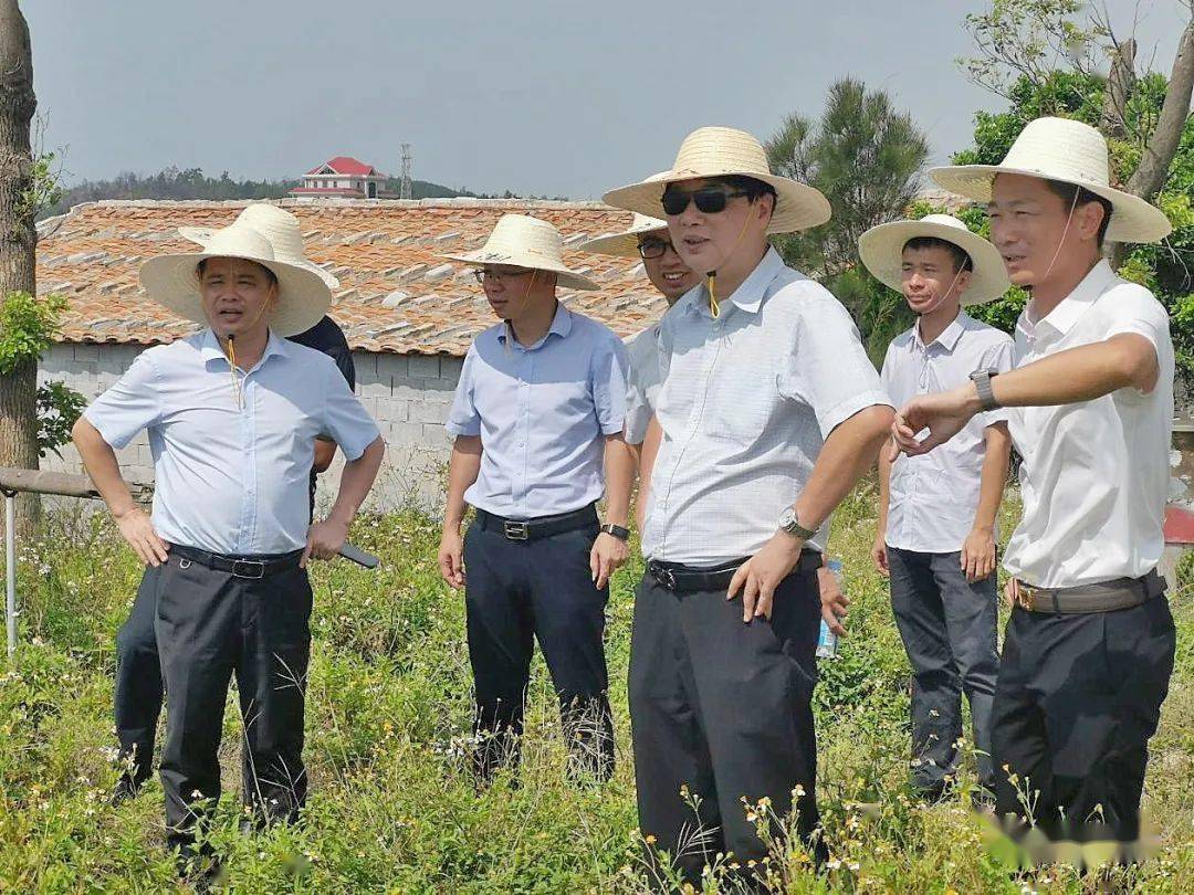 市慈善协会会长蒋志雄一行来北岸山亭镇调研乡村振兴工作