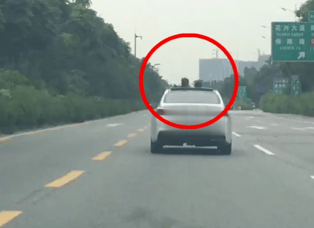 多少岁不让开车上路 eae3e3a2a0284d0d9bb2e5124681503b.png