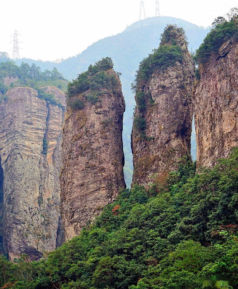 雁荡山阳刚峰图片