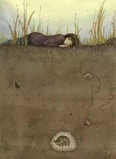 这一组残酷血腥却又非常现实的图片直戳人心