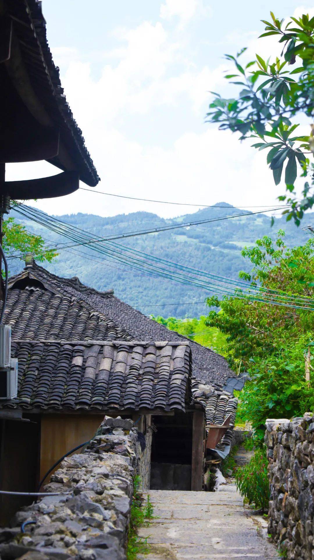 仡佬之源丹砂古县│奔赴千百次依旧读不完ta的故事