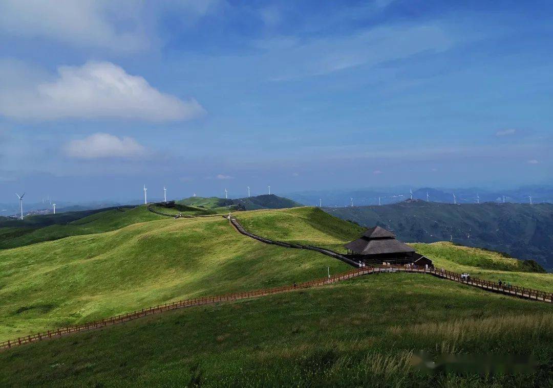 米—2777米之间位于赫章县兴发乡阿西里西·韭菜坪景区远看就像一片