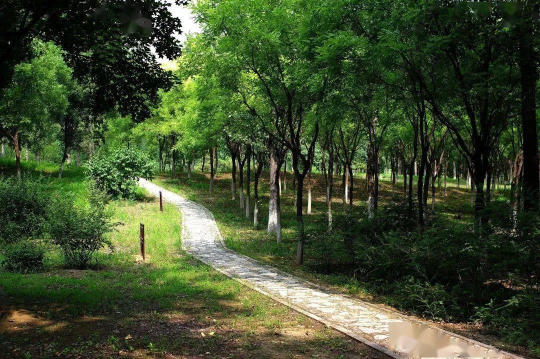 北京市昌平区黑泉路与西小口路交口东南侧东小口森林公园来一场快乐的