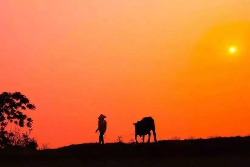 怎么样才能变得坚强勇敢 dea61551932a49319ab15c156a67860c.jpeg