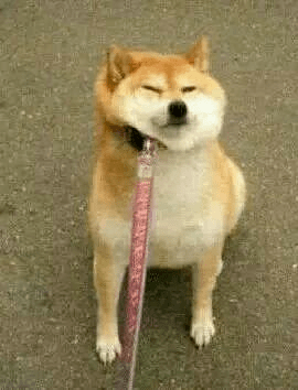 3140af37527244639ea9c4fe6a4d6c75.png