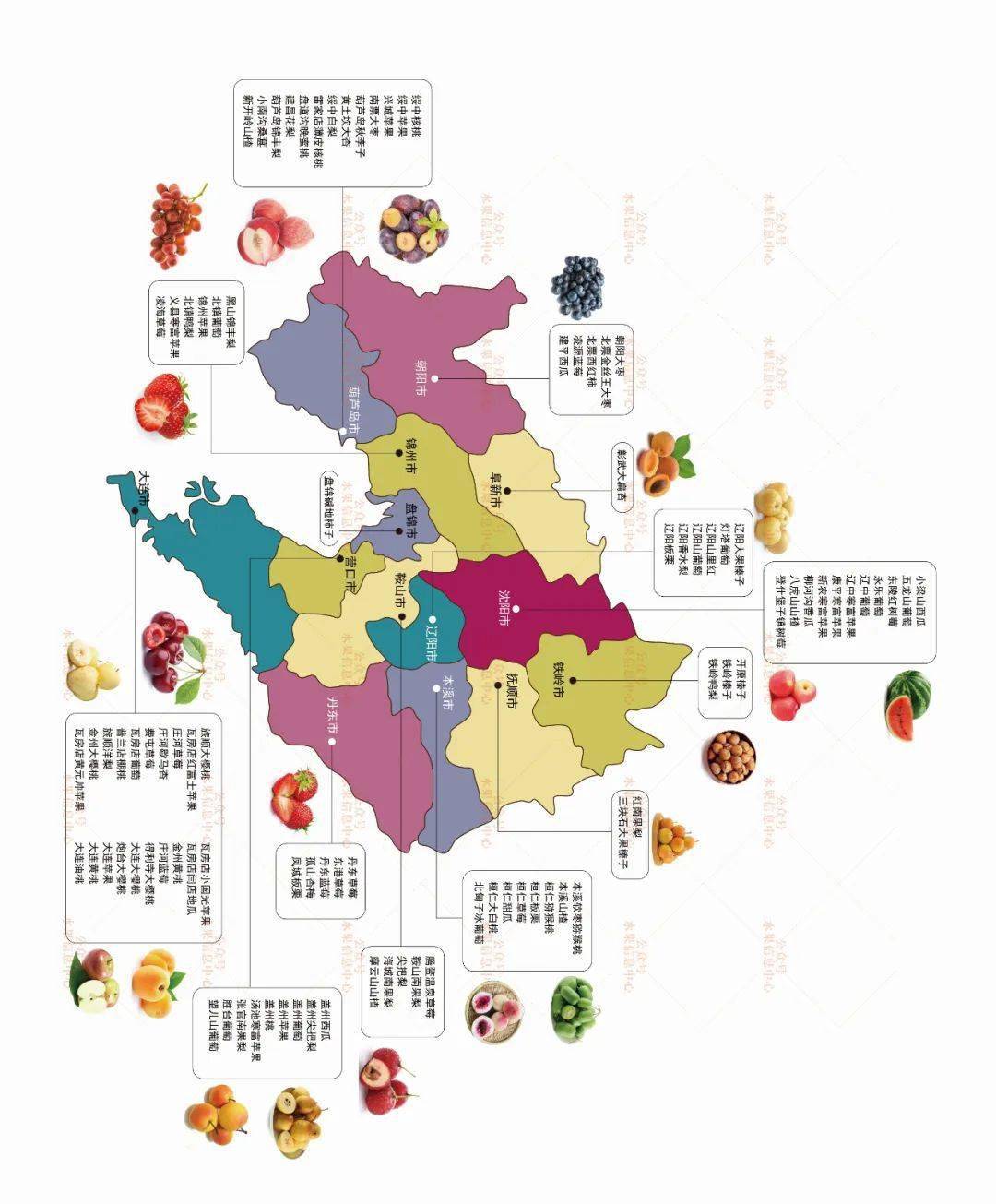 到2025年中国水果市场有望突破27万亿附13个省水果地图