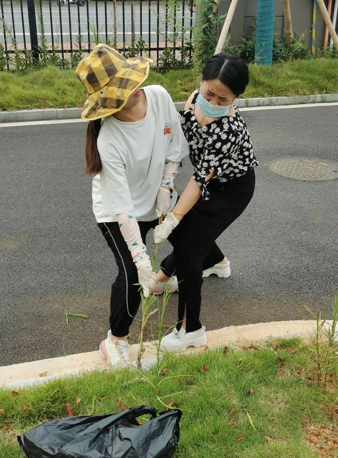 小编要被"种草"了 竟然是隆兴小学的老师们?_拔草