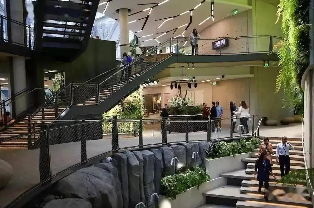 亚马逊公司新总部办公室里的热带雨林
