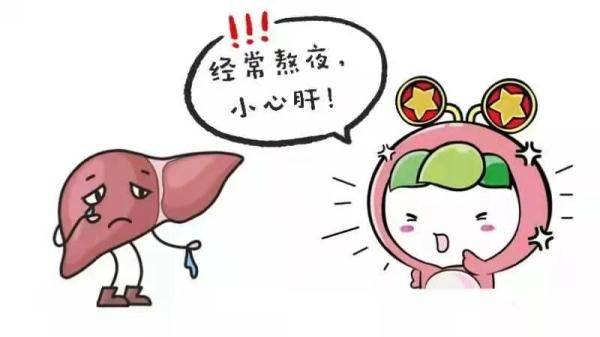 免疫|“熬夜伤肝”是不是真的？这里一文全解读